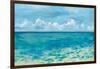 Caribbean Sea Reflections-Silvia Vassileva-Framed Art Print