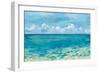 Caribbean Sea Reflections-Silvia Vassileva-Framed Premium Giclee Print