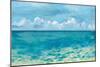 Caribbean Sea Reflections-Silvia Vassileva-Mounted Premium Giclee Print