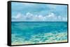 Caribbean Sea Reflections-Silvia Vassileva-Framed Stretched Canvas