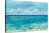 Caribbean Sea Reflections-Silvia Vassileva-Stretched Canvas