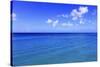 Caribbean Sea, West Coast of Barbados-Stefano Amantini-Stretched Canvas