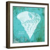 Caribbean Shell I-Gwendolyn Babbitt-Framed Art Print