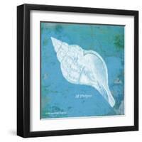 Caribbean Shell II-Gwendolyn Babbitt-Framed Art Print