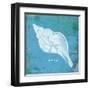 Caribbean Shell II-Gwendolyn Babbitt-Framed Art Print