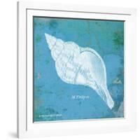 Caribbean Shell II-Gwendolyn Babbitt-Framed Art Print