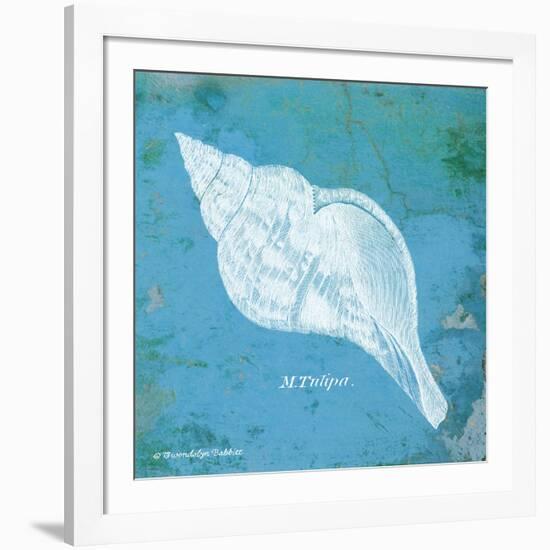 Caribbean Shell II-Gwendolyn Babbitt-Framed Art Print