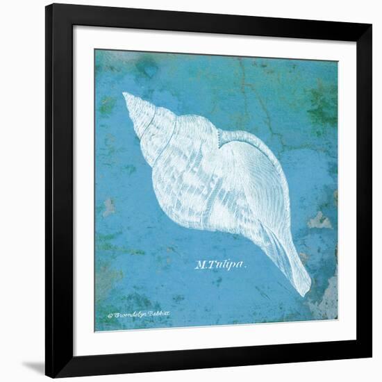 Caribbean Shell II-Gwendolyn Babbitt-Framed Art Print