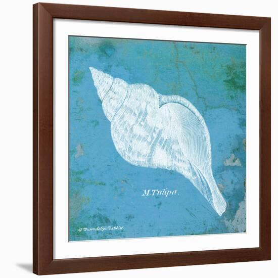 Caribbean Shell II-Gwendolyn Babbitt-Framed Art Print