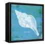 Caribbean Shell II-Gwendolyn Babbitt-Framed Stretched Canvas