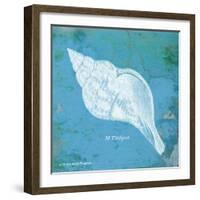 Caribbean Shell II-Gwendolyn Babbitt-Framed Art Print