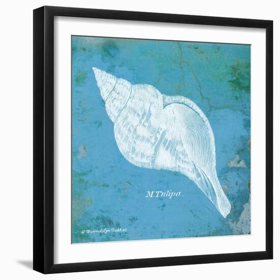 Caribbean Shell II-Gwendolyn Babbitt-Framed Art Print