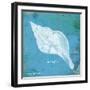 Caribbean Shell II-Gwendolyn Babbitt-Framed Art Print