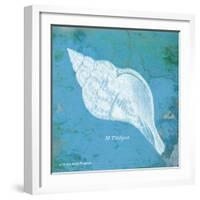 Caribbean Shell II-Gwendolyn Babbitt-Framed Art Print