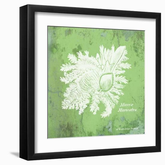 Caribbean Shell IV-Gwendolyn Babbitt-Framed Art Print