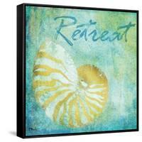 Caribbean Shells I-Paul Brent-Framed Stretched Canvas