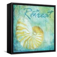 Caribbean Shells I-Paul Brent-Framed Stretched Canvas