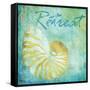 Caribbean Shells I-Paul Brent-Framed Stretched Canvas