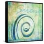 Caribbean Shells III-Paul Brent-Framed Stretched Canvas