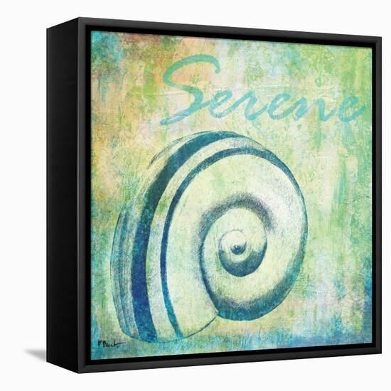 Caribbean Shells III-Paul Brent-Framed Stretched Canvas