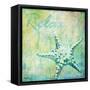 Caribbean Shells IV-Paul Brent-Framed Stretched Canvas