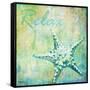 Caribbean Shells IV-Paul Brent-Framed Stretched Canvas