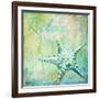 Caribbean Shells IV-Paul Brent-Framed Art Print