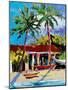 Caribbean Shore-Jane Slivka-Mounted Photographic Print