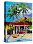 Caribbean Shore-Jane Slivka-Stretched Canvas