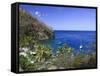 Caribbean, St Lucia, Anse Chastanet Beach-Michele Falzone-Framed Stretched Canvas