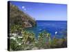 Caribbean, St Lucia, Anse Chastanet Beach-Michele Falzone-Stretched Canvas