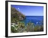 Caribbean, St Lucia, Anse Chastanet Beach-Michele Falzone-Framed Photographic Print