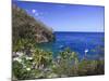 Caribbean, St Lucia, Anse Chastanet Beach-Michele Falzone-Mounted Photographic Print