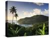 Caribbean, St Lucia, Marigot Bay and Harbour-Michele Falzone-Stretched Canvas