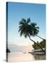 Caribbean, St Lucia, Marigot, Marigot Bay, Marigot Bay Beach Club Hotel, Doolittle's Restaurant-Alan Copson-Stretched Canvas