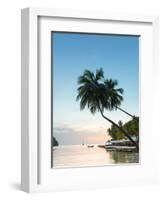 Caribbean, St Lucia, Marigot, Marigot Bay, Marigot Bay Beach Club Hotel, Doolittle's Restaurant-Alan Copson-Framed Photographic Print