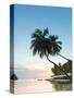 Caribbean, St Lucia, Marigot, Marigot Bay, Marigot Bay Beach Club Hotel, Doolittle's Restaurant-Alan Copson-Stretched Canvas