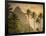 Caribbean, St Lucia, Petit and Gros Piton Mountains (UNESCO World Heritage Site)-Alan Copson-Framed Premium Photographic Print