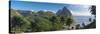 Caribbean, St Lucia, Petit and Gros Piton Mountains-Alan Copson-Stretched Canvas