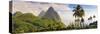 Caribbean, St Lucia, Petit and Gros Piton Mountains-Alan Copson-Stretched Canvas