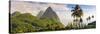 Caribbean, St Lucia, Petit and Gros Piton Mountains-Alan Copson-Stretched Canvas