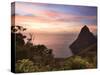 Caribbean, St Lucia, Petit Piton and Anse Des Pitons Beach-Michele Falzone-Stretched Canvas