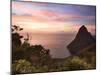 Caribbean, St Lucia, Petit Piton and Anse Des Pitons Beach-Michele Falzone-Mounted Photographic Print