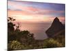 Caribbean, St Lucia, Petit Piton and Anse Des Pitons Beach-Michele Falzone-Mounted Photographic Print