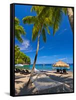 Caribbean, St Lucia, Soufriere, Anse Chastanet, Anse Chastanet Beach-Alan Copson-Framed Stretched Canvas