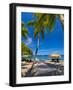 Caribbean, St Lucia, Soufriere, Anse Chastanet, Anse Chastanet Beach-Alan Copson-Framed Photographic Print