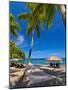 Caribbean, St Lucia, Soufriere, Anse Chastanet, Anse Chastanet Beach-Alan Copson-Mounted Photographic Print