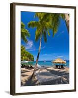 Caribbean, St Lucia, Soufriere, Anse Chastanet, Anse Chastanet Beach-Alan Copson-Framed Photographic Print