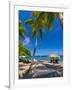 Caribbean, St Lucia, Soufriere, Anse Chastanet, Anse Chastanet Beach-Alan Copson-Framed Photographic Print