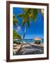 Caribbean, St Lucia, Soufriere, Anse Chastanet, Anse Chastanet Beach-Alan Copson-Framed Photographic Print